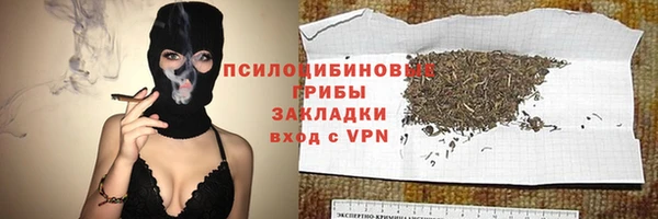 молекула духа Белокуриха