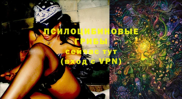 ешки Балахна