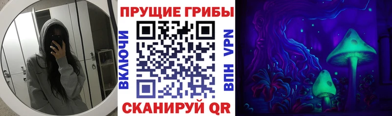 Псилоцибиновые грибы Magic Shrooms  наркота  МЕГА зеркало  Киреевск 